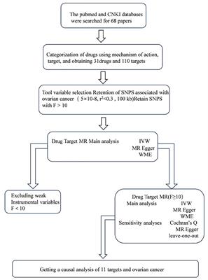 Drug repositioning and ovarian cancer, a study based on Mendelian randomisation analysis